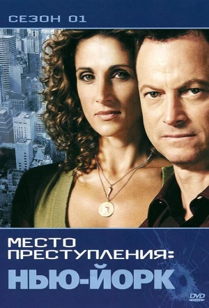 CSI: Место преступления Нью-Йорк 2004