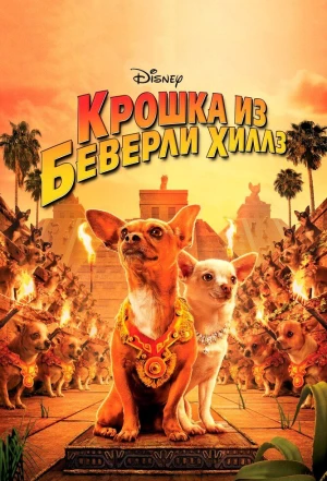 Крошка из Беверли-Хиллз 2008