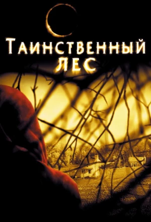 Таинственный лес 2004